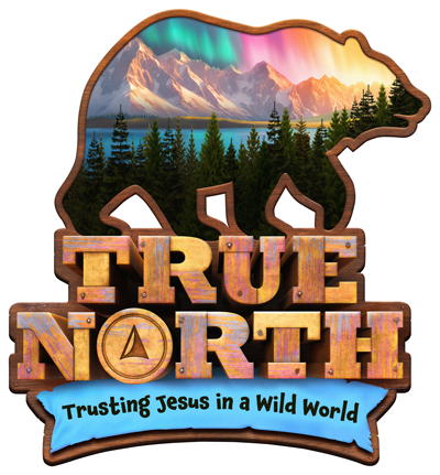 800x800 truenorth_logo